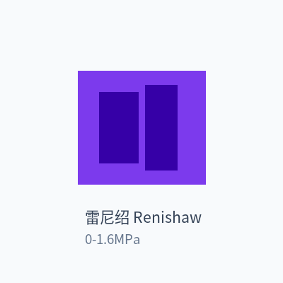 雷尼绍 Renishaw 压力变送器 0-1.6MPa