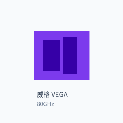威格 VEGA 雷达物位计 80GHz